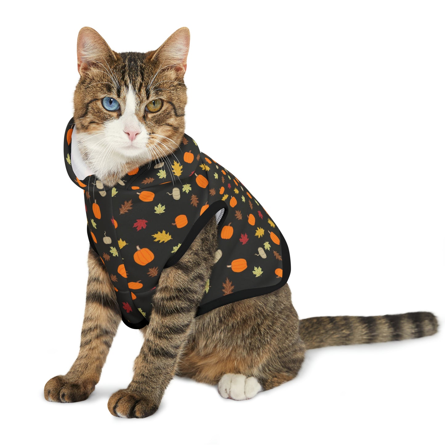 Pet Hoodie — Fall Collection
