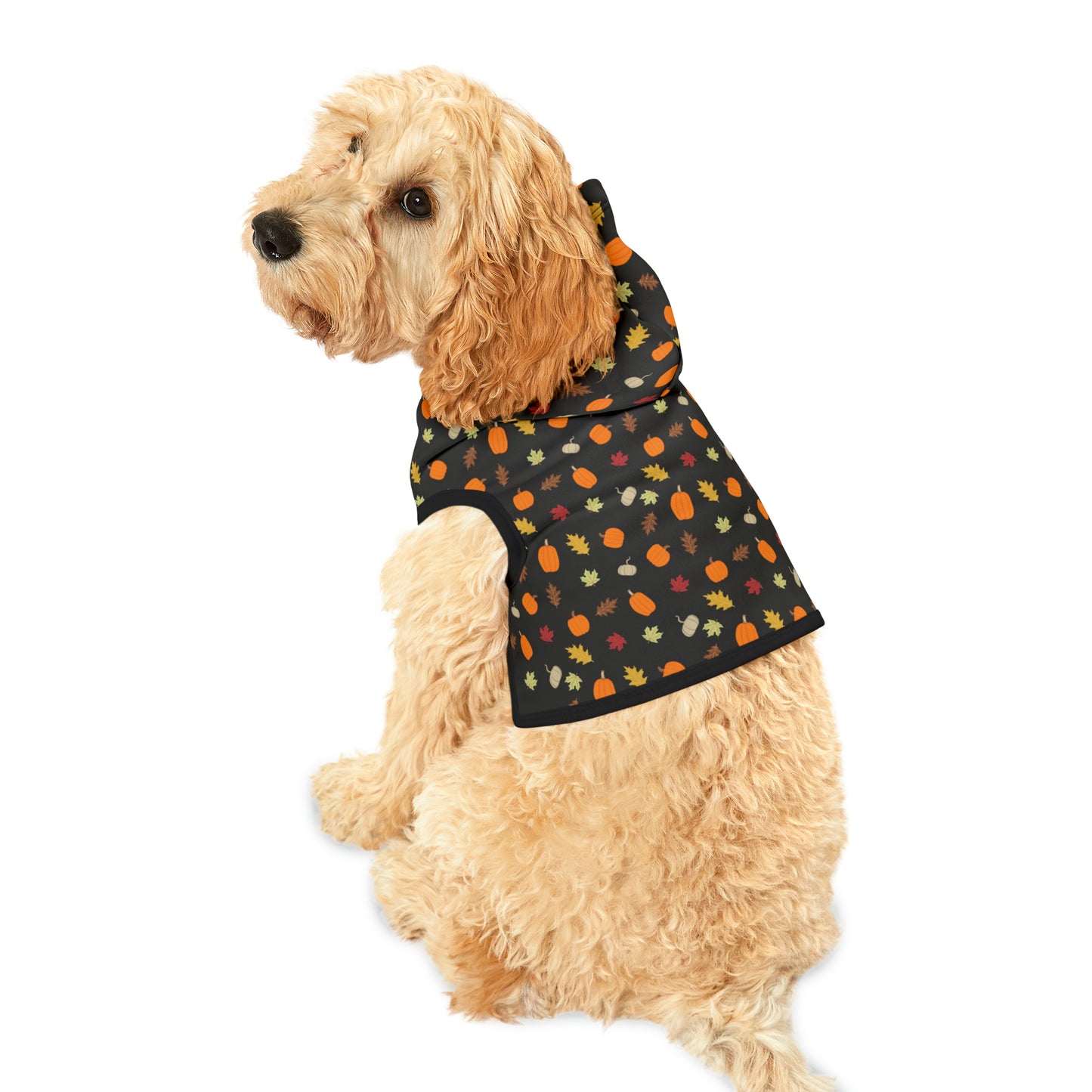 Pet Hoodie — Fall Collection