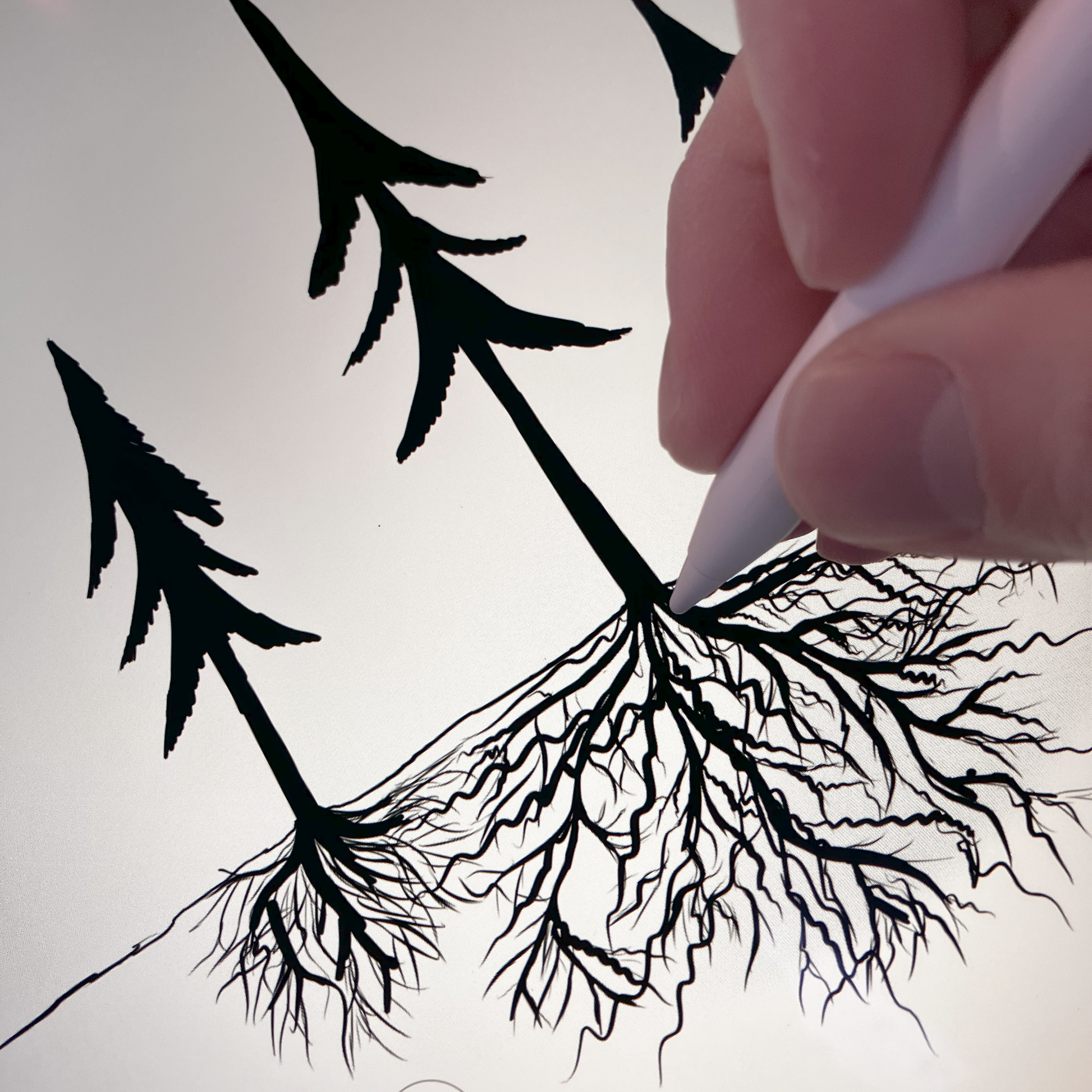 The artist drawing a minimalist nature illustration on an iPad, featuring three tree silhouettes with exposed roots and a glowing sun. Showcasing the creative process of the designer behind Kempain Family Outfitters.