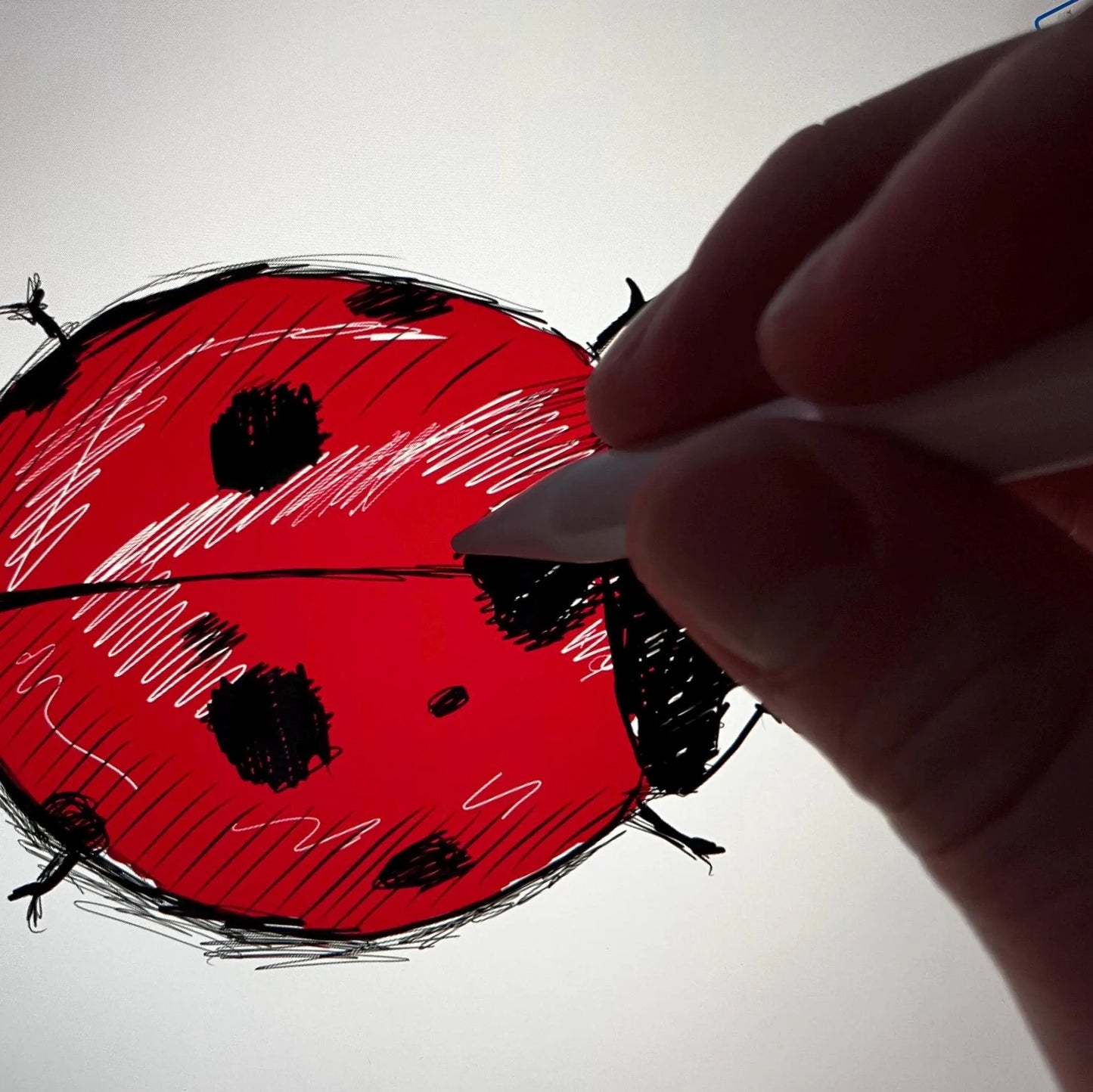 Hand drawing a red ladybug with black spots on a white background showcasing the unique process of Kempain Family Outfitters artwork.