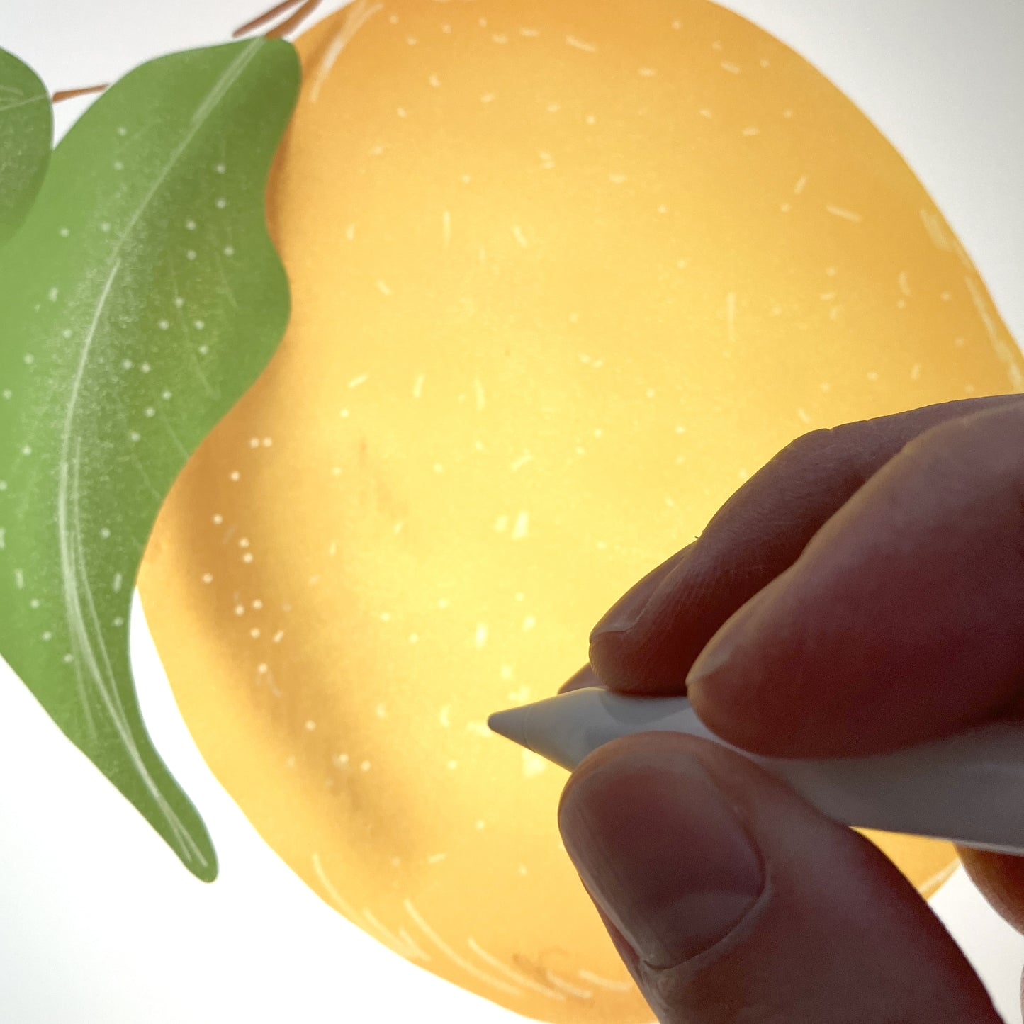 Image of detailed drawing by Jordan Kempain, owner of Kempain Family Outfitters showing the artists process for creating the art used on this unique lemon pattern phone case.