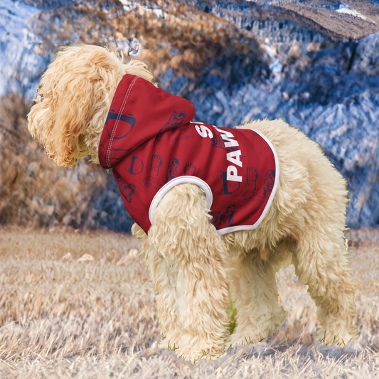 A close-up of a dog modeling the Ski Pawtrol Pet Hoodie against a clean white background, showcasing the unique ski-themed design and comfortable fit.