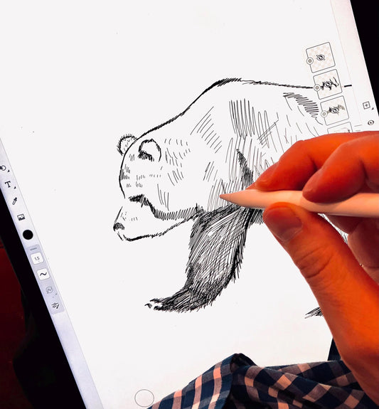 Professional designer Jordan Kempain sketching wildlife art on an iPad in his Connecticut studio