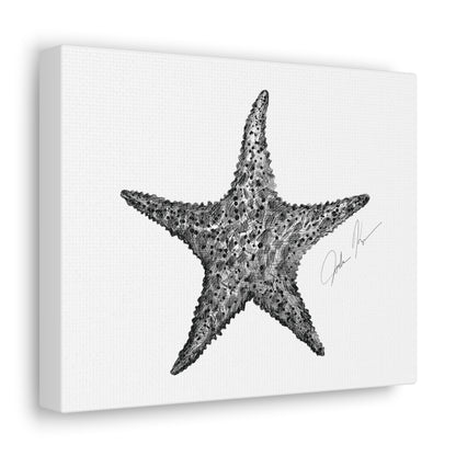 Star Fish Illustration - Canvas Gallery Wrap