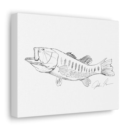 Largemouth Bass Illustration - Canvas Gallery Wrap