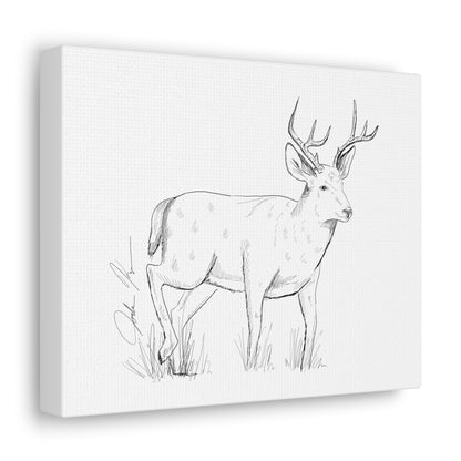 Whitetail Buck Illustration - Canvas Gallery Wrap