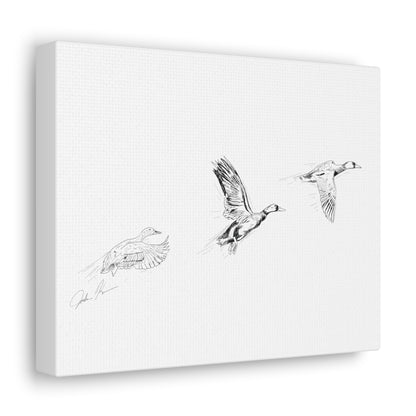 Flying Ducks Illustration - Canvas Gallery Wrap