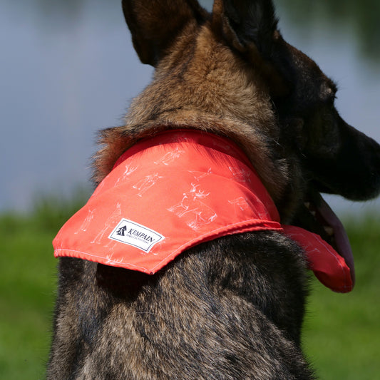 Pet Bandana | Whitetail Deer Pattern