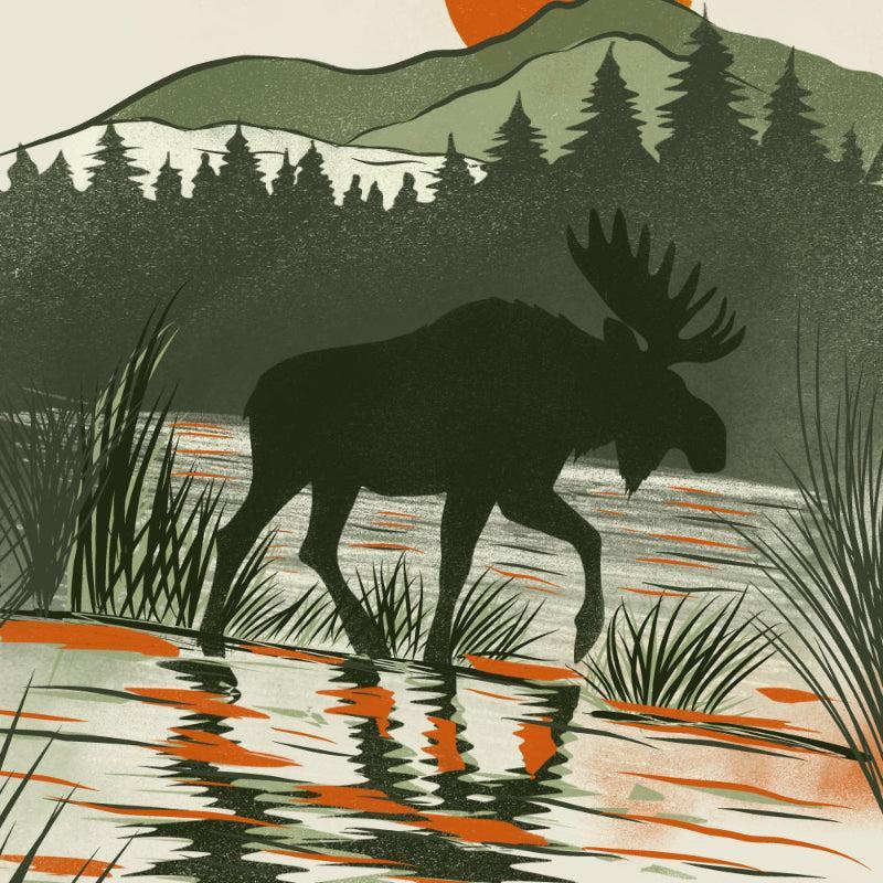 Close up square crop of moose digital drawing by Jordan Kempain showing the textures and detail of the artwork.
