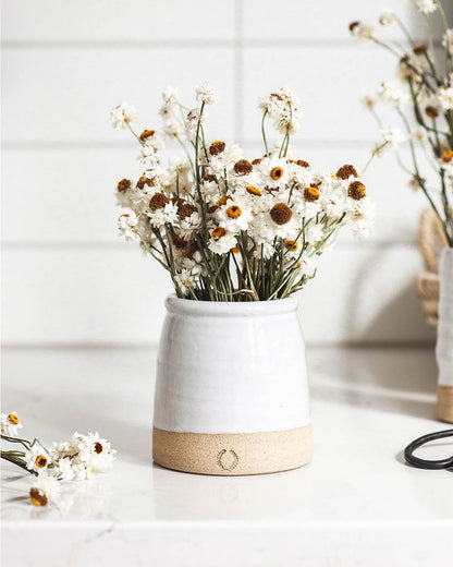 The Beehive Crock | Wheel-Thrown Stoneware by Farmhouse Pottery