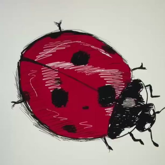 Video showing the ladybug illustration by Kempain Family Outfitters.