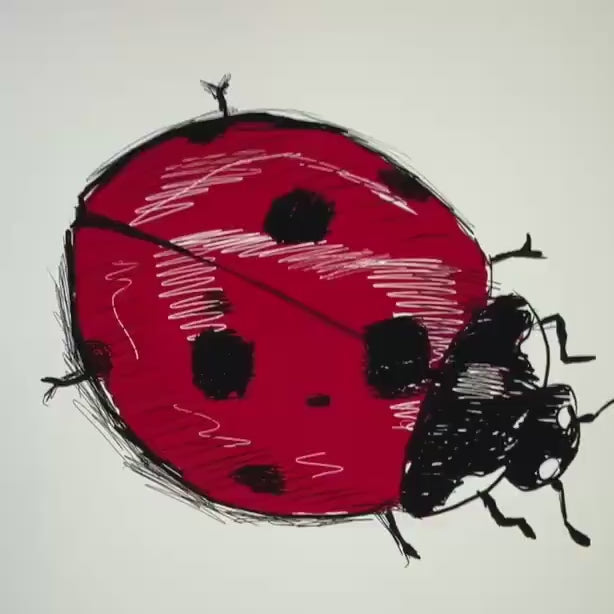 Video showing the ladybug illustration by Kempain Family Outfitters.
