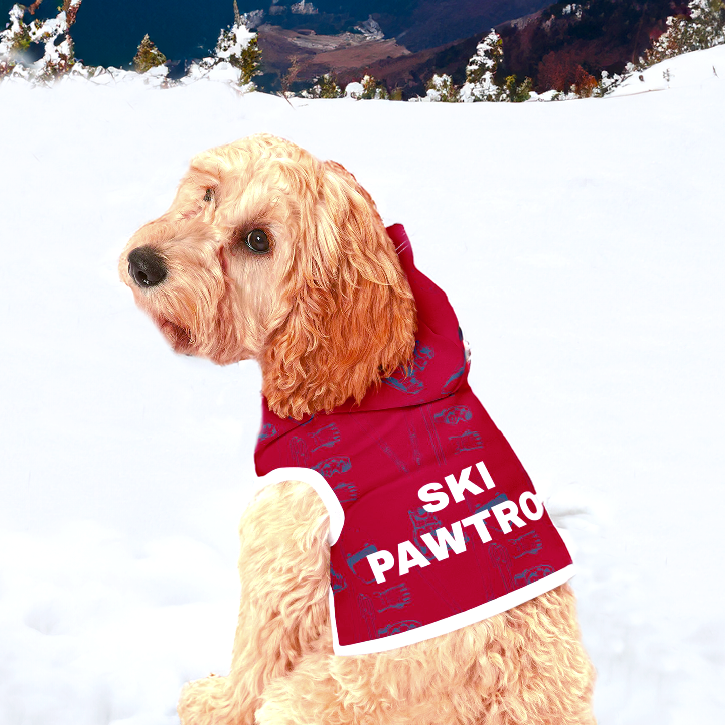 A close-up of a dog modeling the Ski Pawtrol Pet Hoodie against a clean white background, showcasing the unique ski-themed design and comfortable fit.

