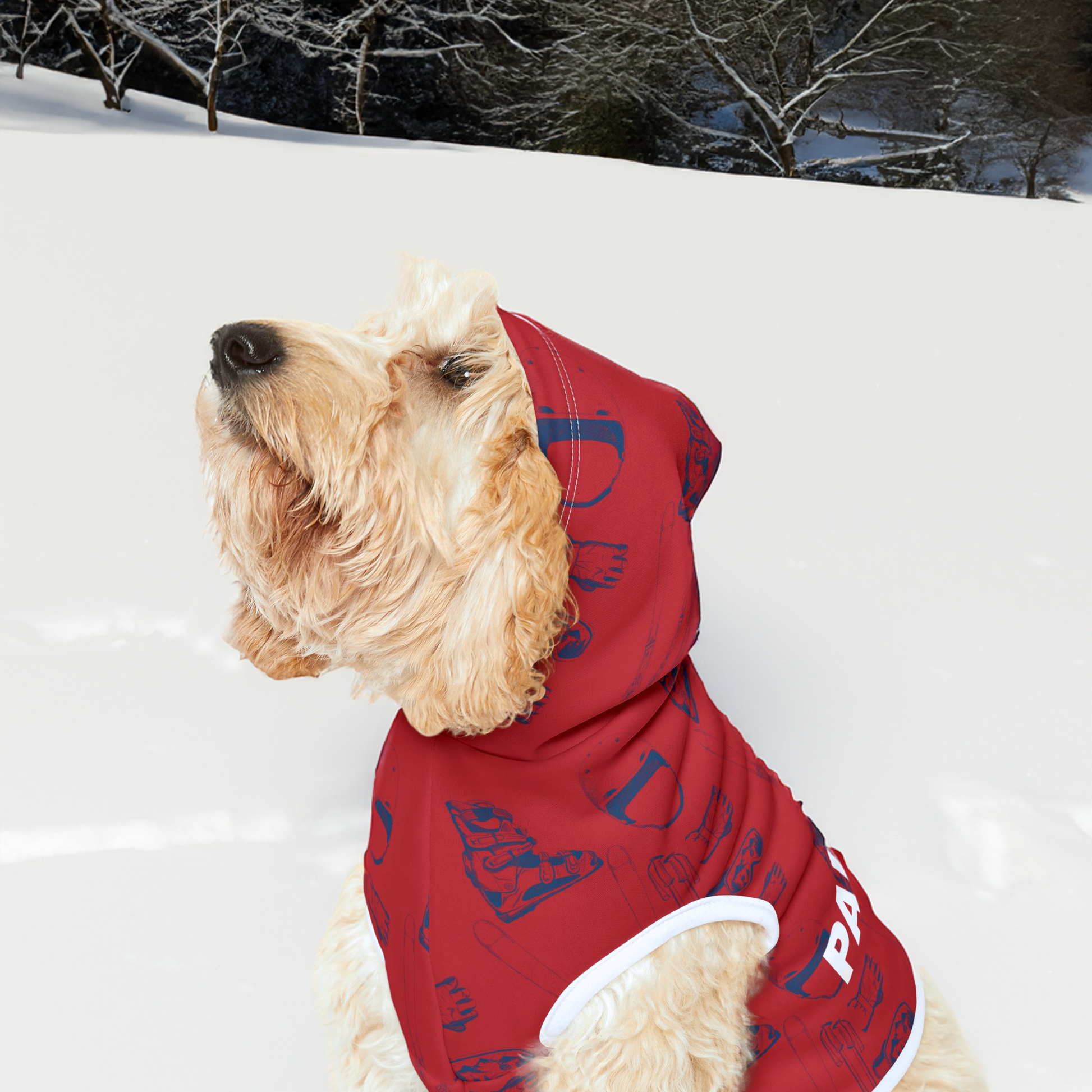 A close-up of a dog modeling the Ski Pawtrol Pet Hoodie against a clean white background, showcasing the unique ski-themed design and comfortable fit.