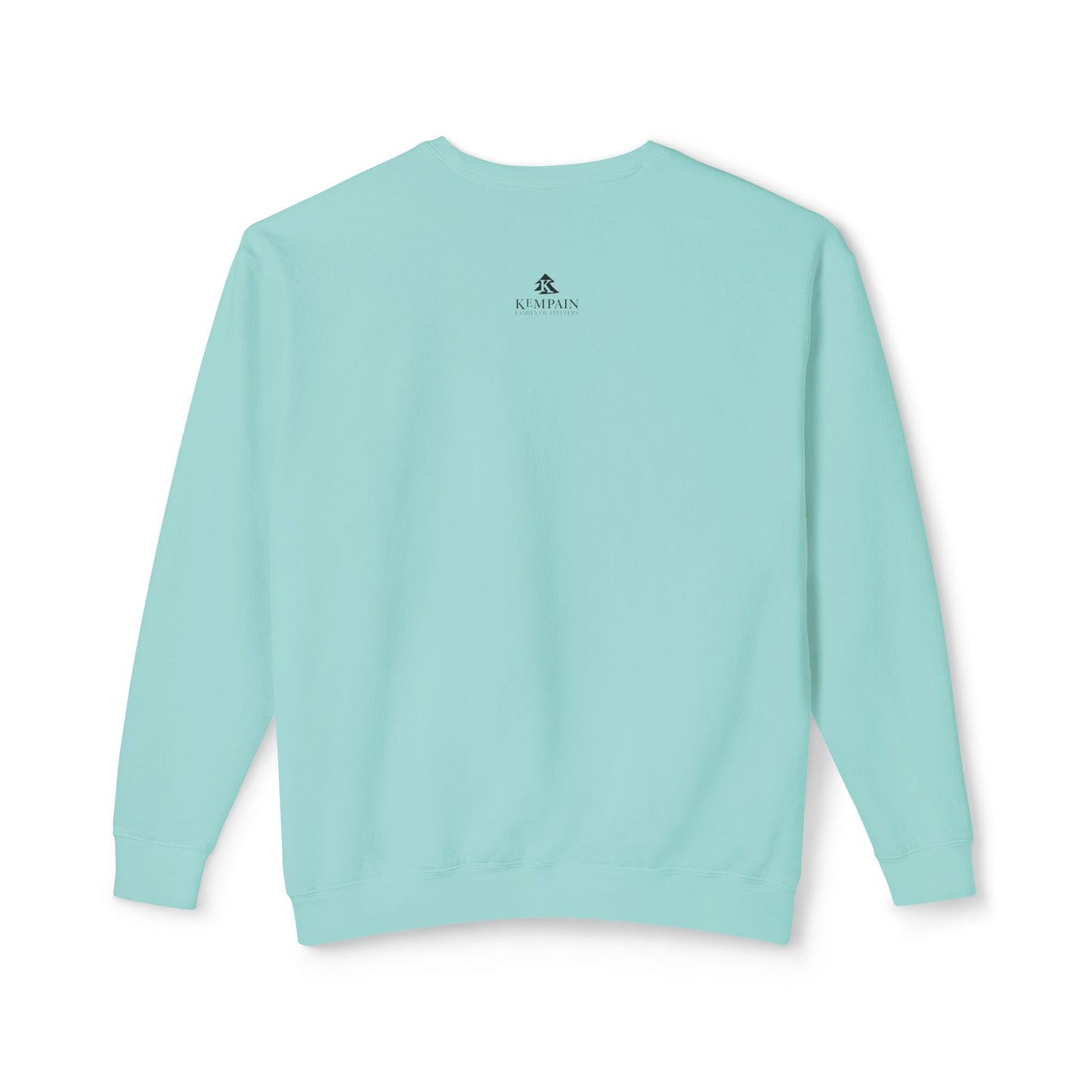 Back view of the Teal Grizzly Study sweatshirt, illustrating the classic silhouette and recoverable 1x1 ribbed hem.