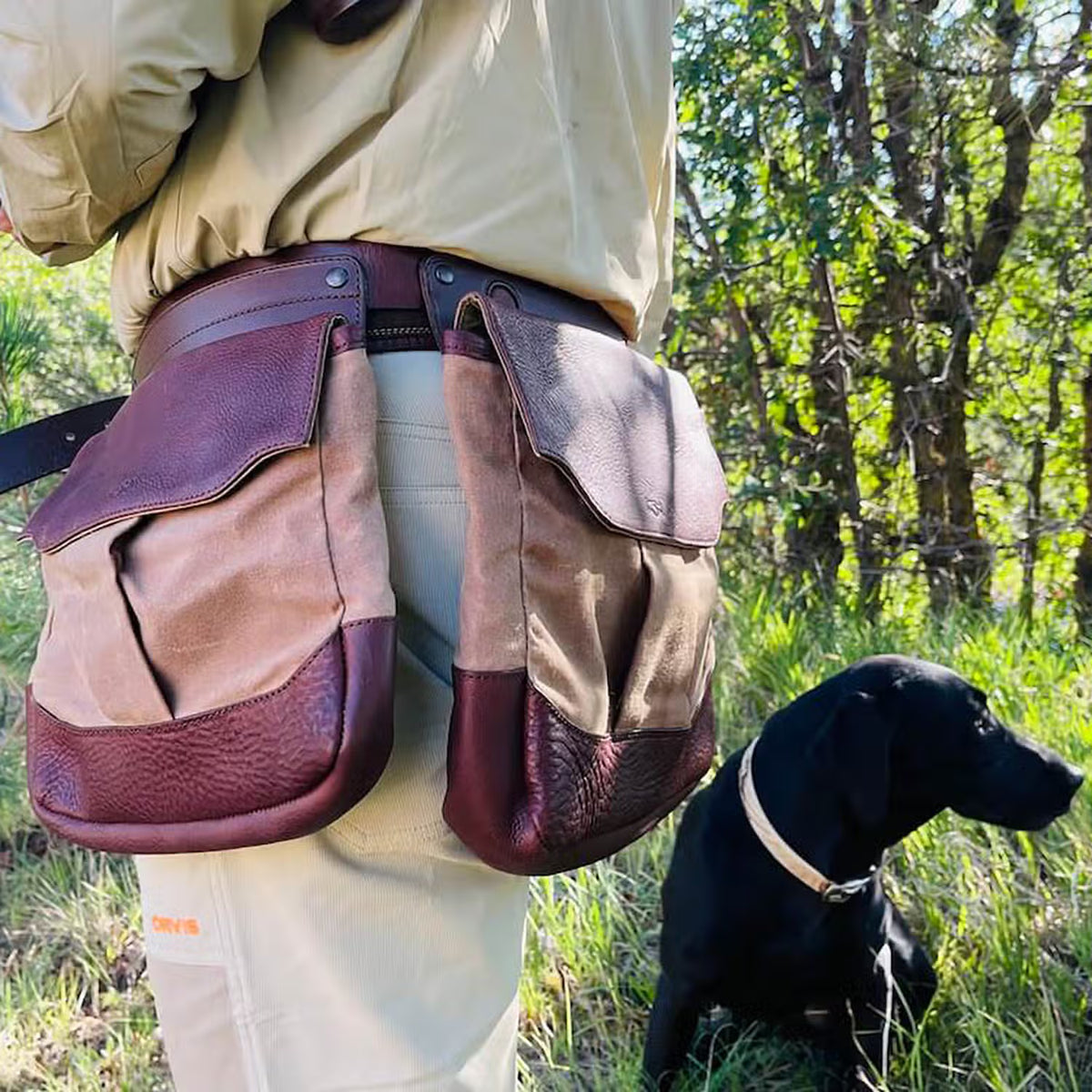 A person outdoors wearing a brown and tan leather-and-canvas waist bag system with two large pouches, with a black hunting dog sitting nearby in a grassy wooded area.
